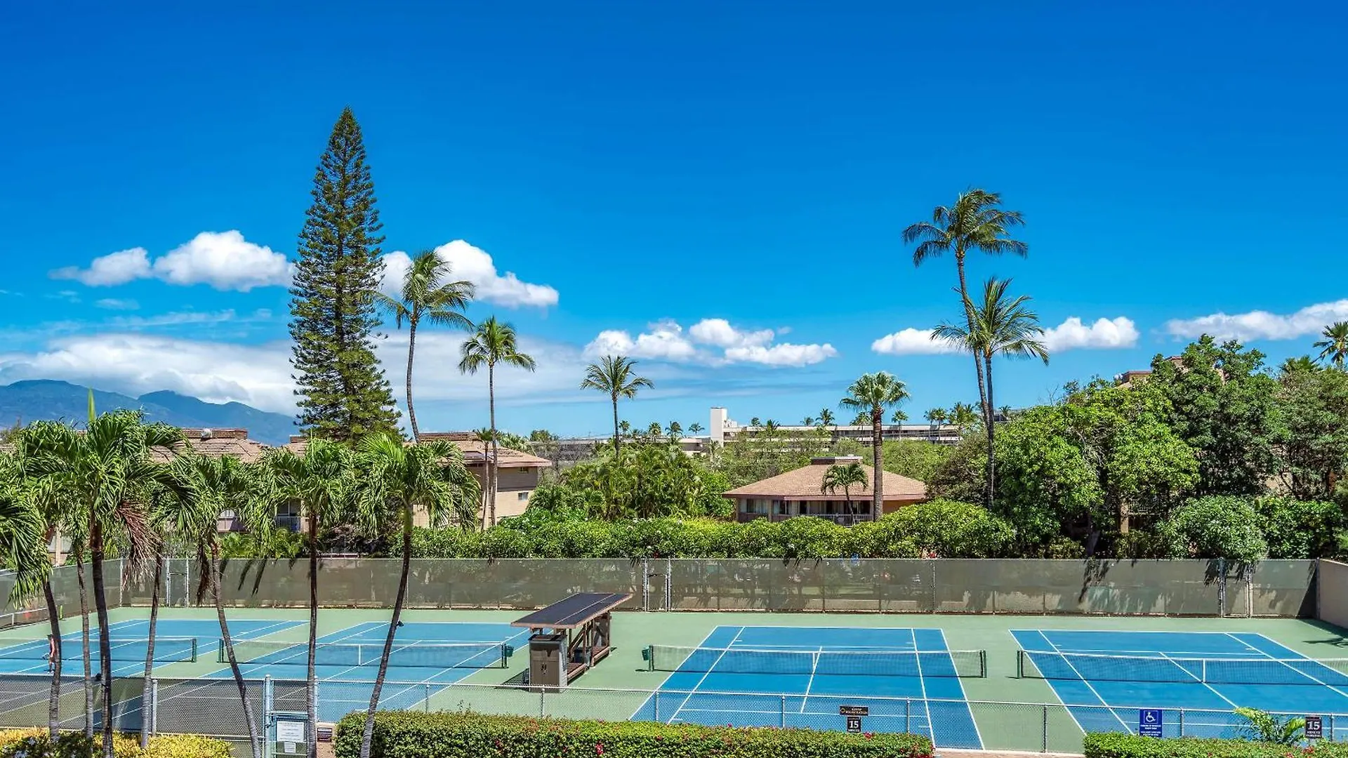 Prázdninový dům Kamaole Sands 3-406, Gourmet Kitchen, Split Ac Wailea  USA